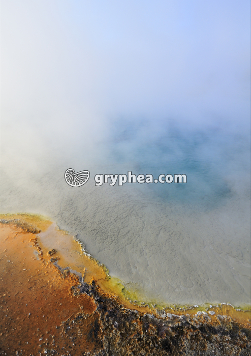 Source thermale (Yellowstone NP, USA) - gryphea.org